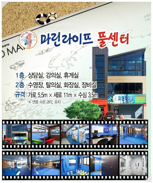 차스킨 이미지