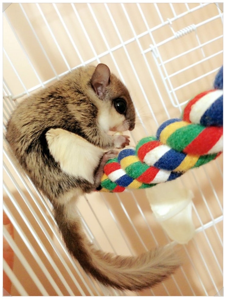 하랑유치원 이미지
