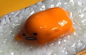 노른자케이스 이미지