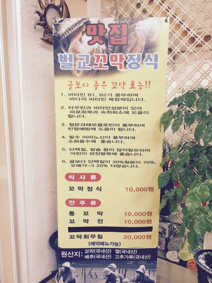 순흥애꽃 이미지