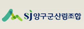 양구군산림조합 이미지