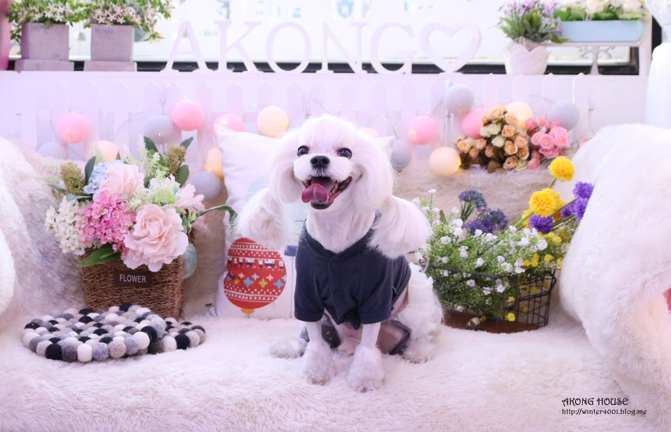 꼬지하우스 이미지