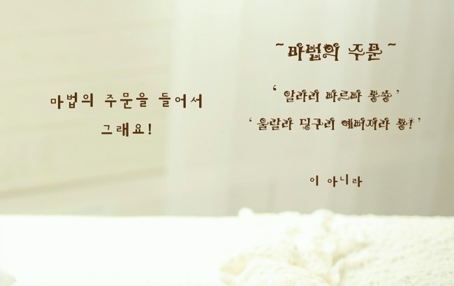 시선사진관 이미지