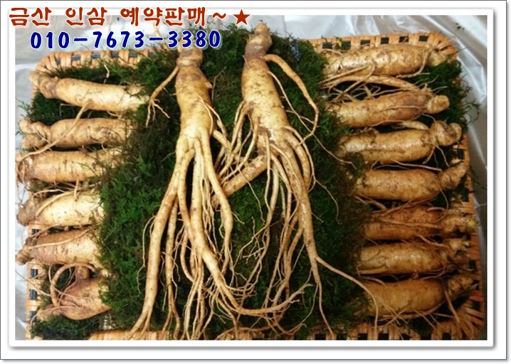 금산인삼직거래 이미지