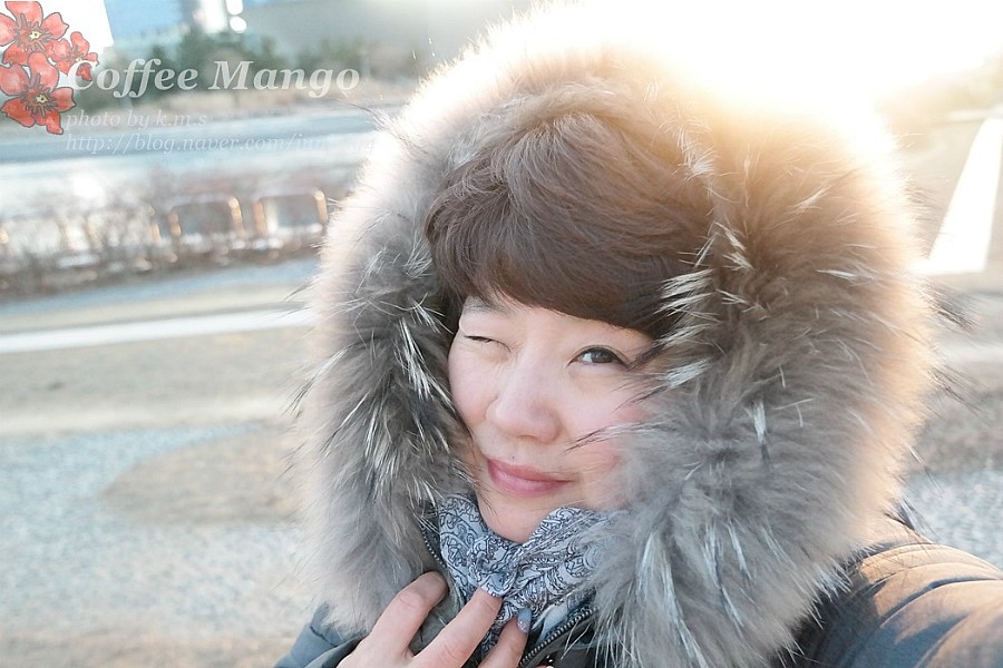 헤어망고 이미지