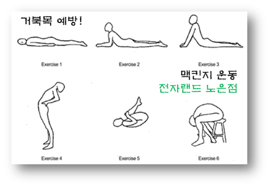 삼성전파사 이미지