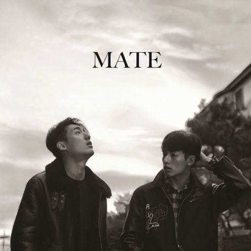 메이트(mate) 이미지