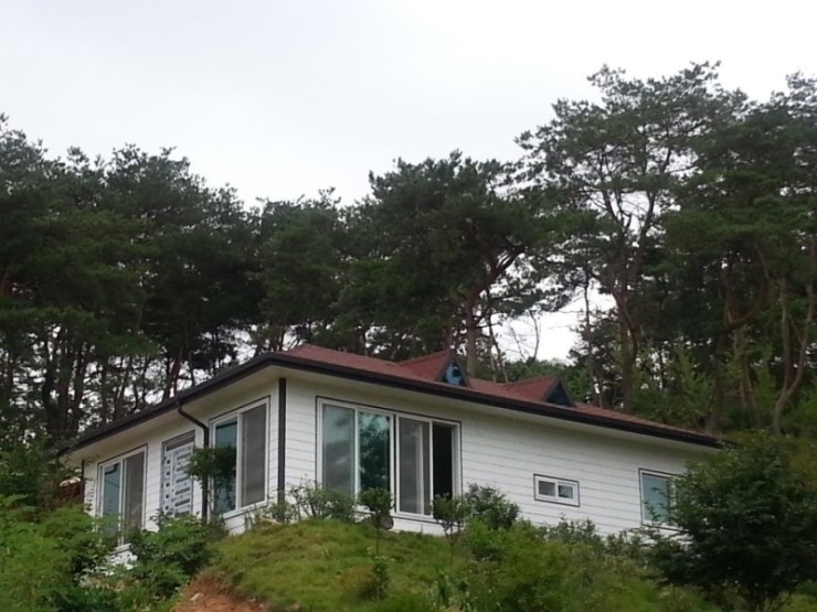 조대슈퍼 이미지