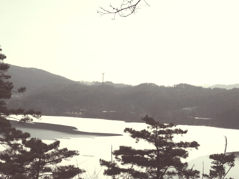 (주)자연법칙 이미지
