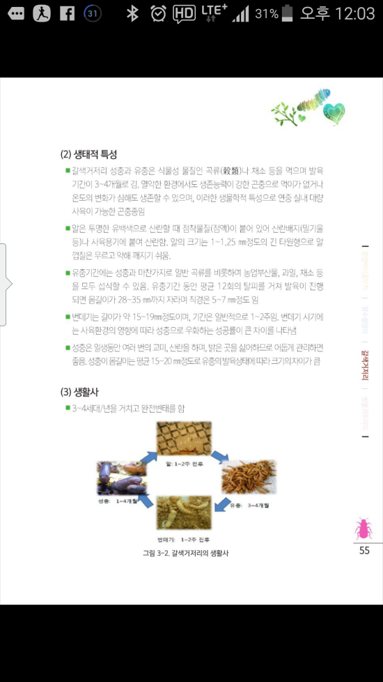 에덴농장 이미지