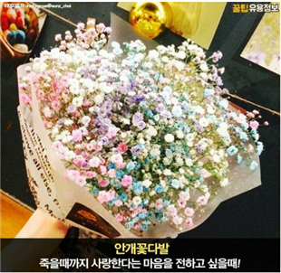 나무노트 이미지