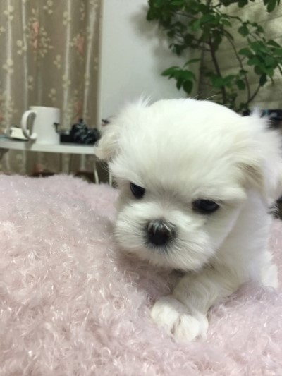 인사동옷집 이미지