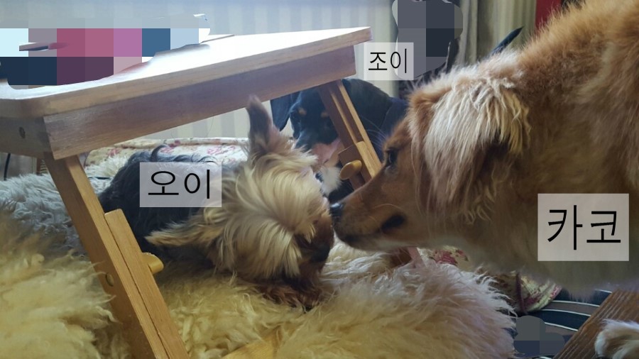 두둥 이미지