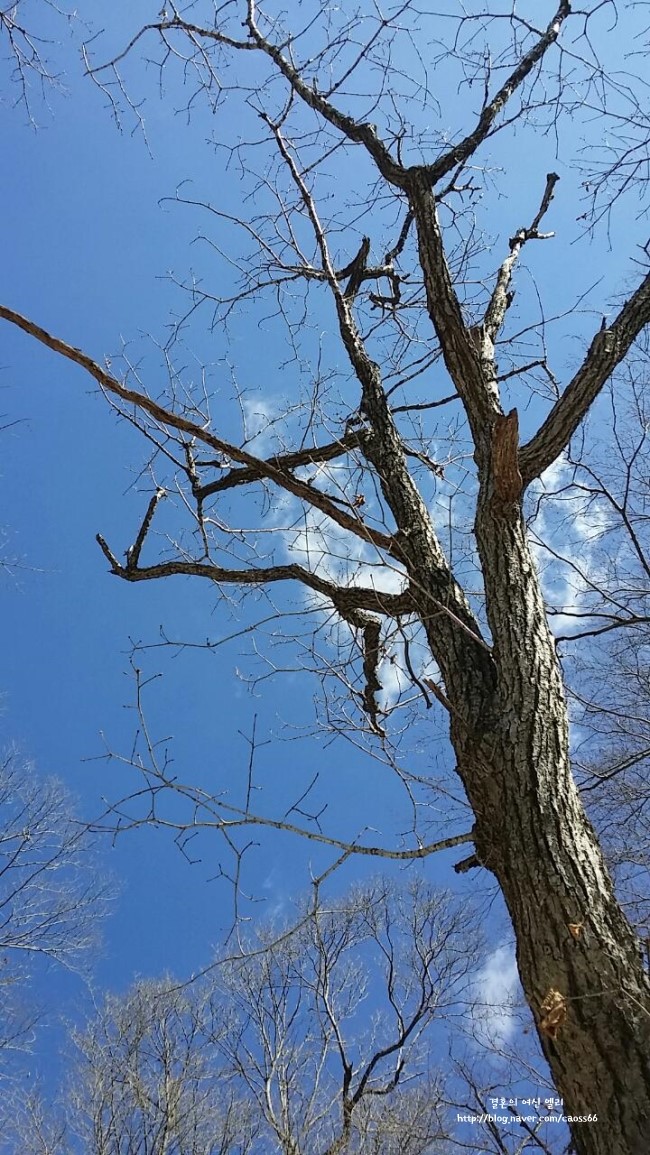 솔잎휴게실 이미지