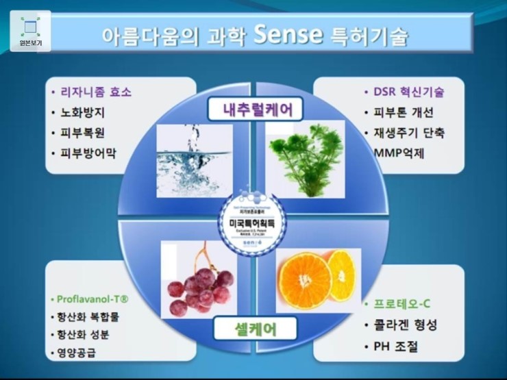 세이저온 이미지