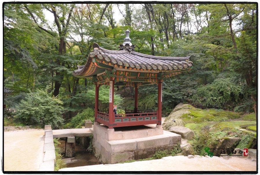 삼정과일 이미지