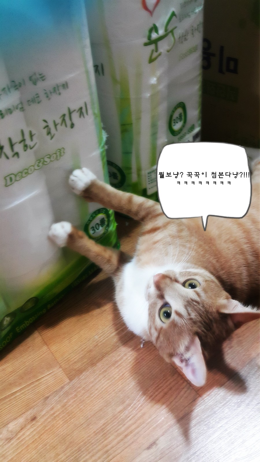 그르릉 이미지