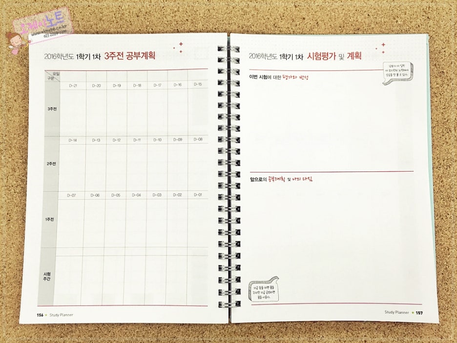 횡성여자고등학교 이미지