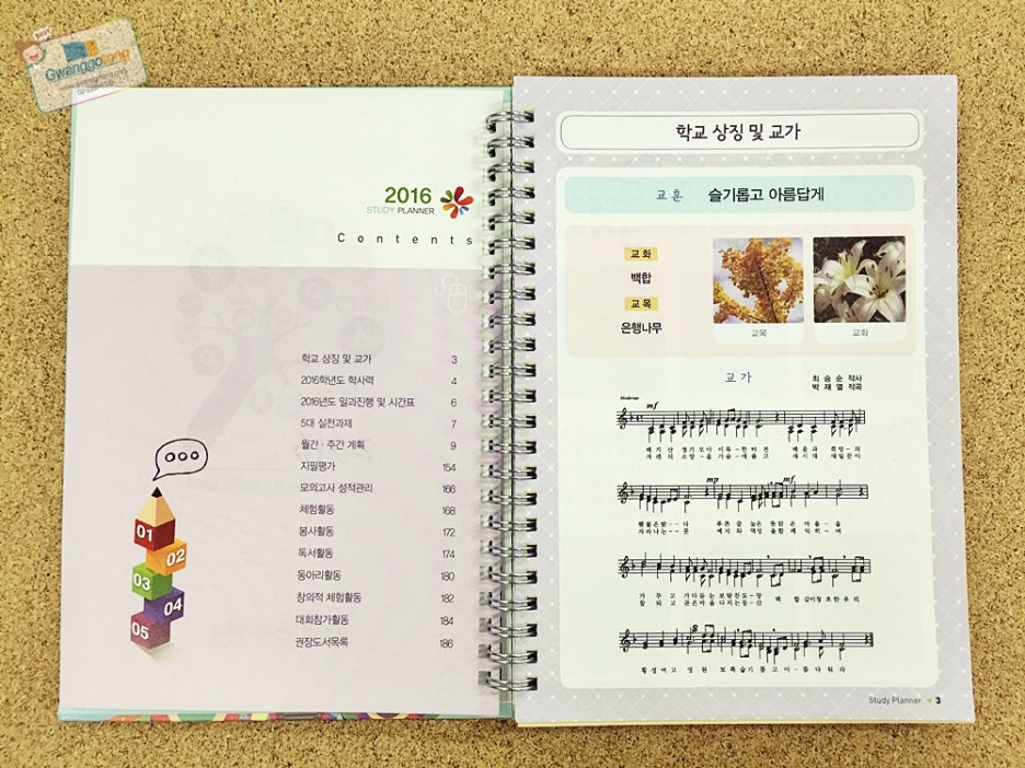 횡성여자고등학교 이미지