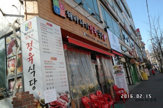 푸른농장해바라기 이미지