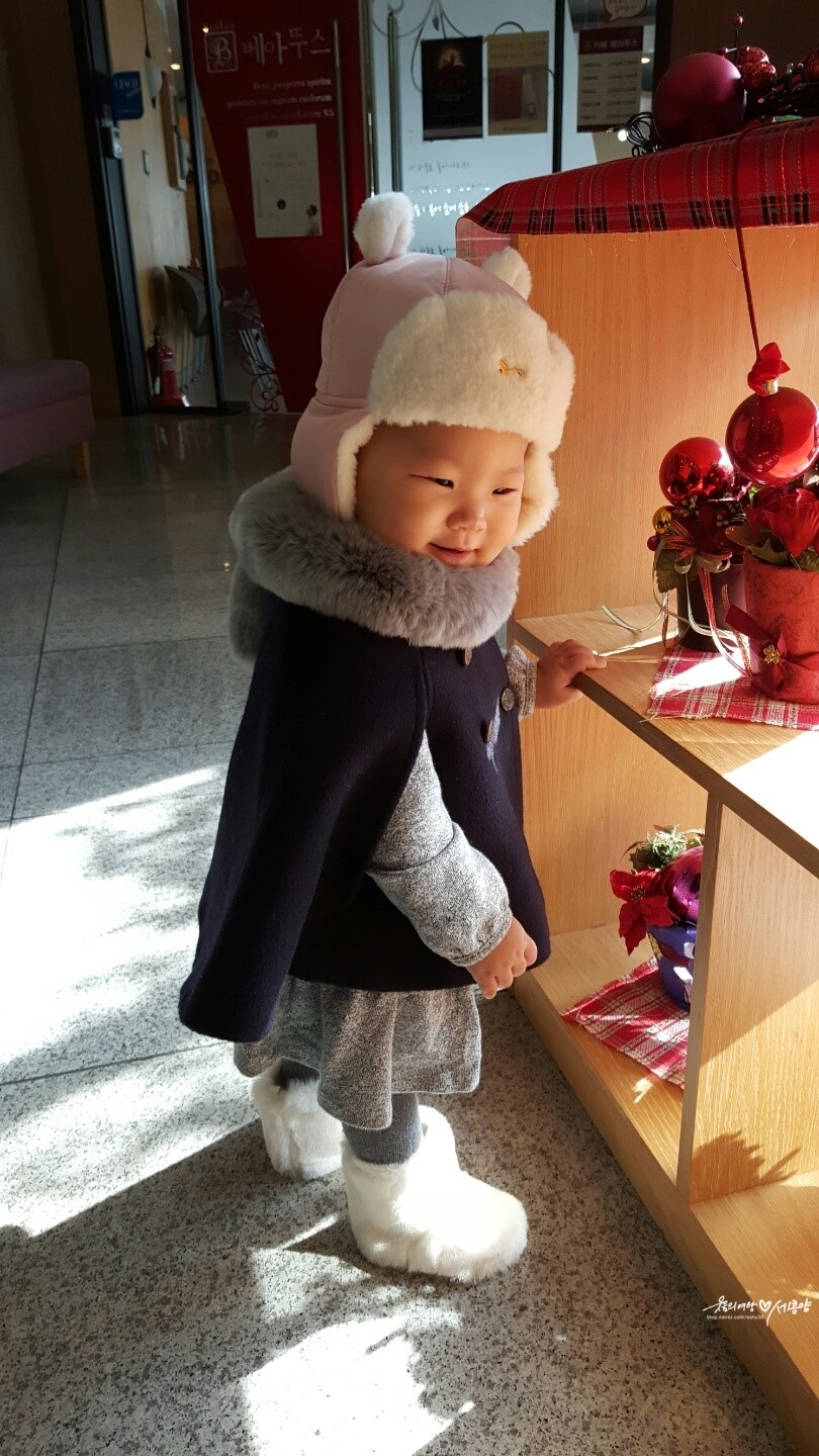 단디.제이 이미지