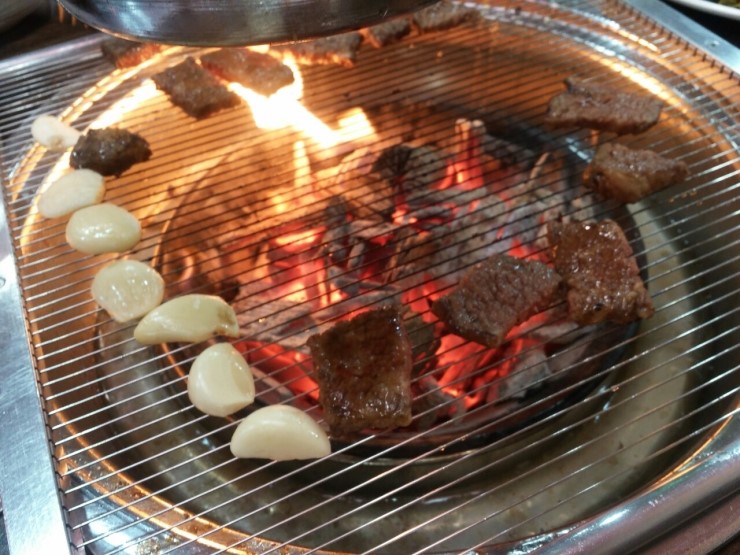 참토우 이미지