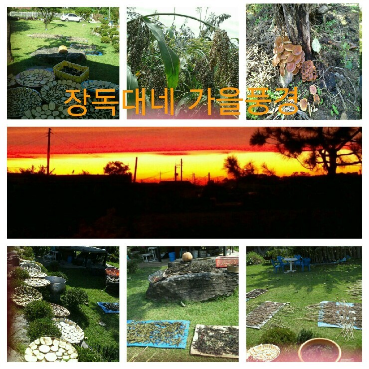 사계절장독대 이미지