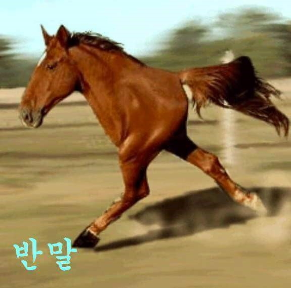 최부짱 이미지