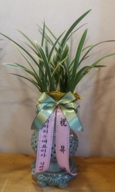 황금룡 이미지
