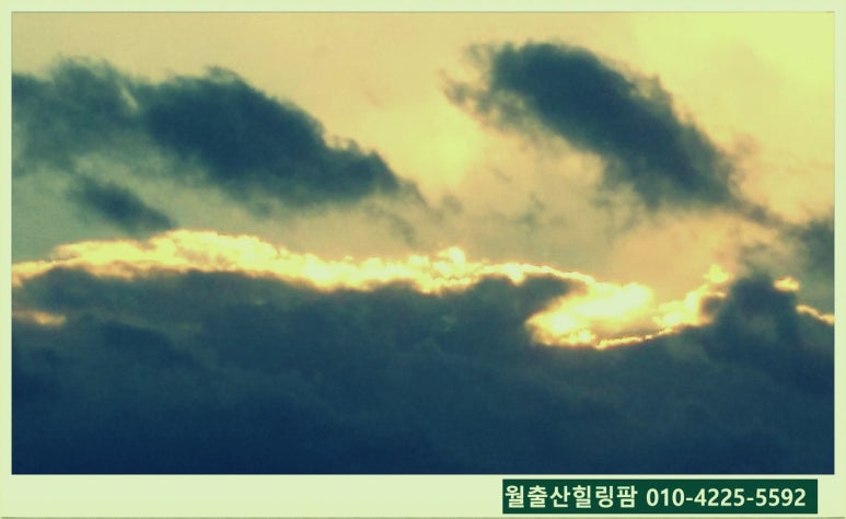 월출산힐링팜 이미지