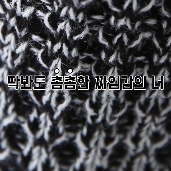 더싸다구 이미지