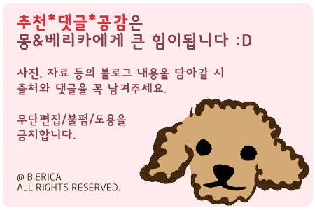 에스디플레이스 이미지