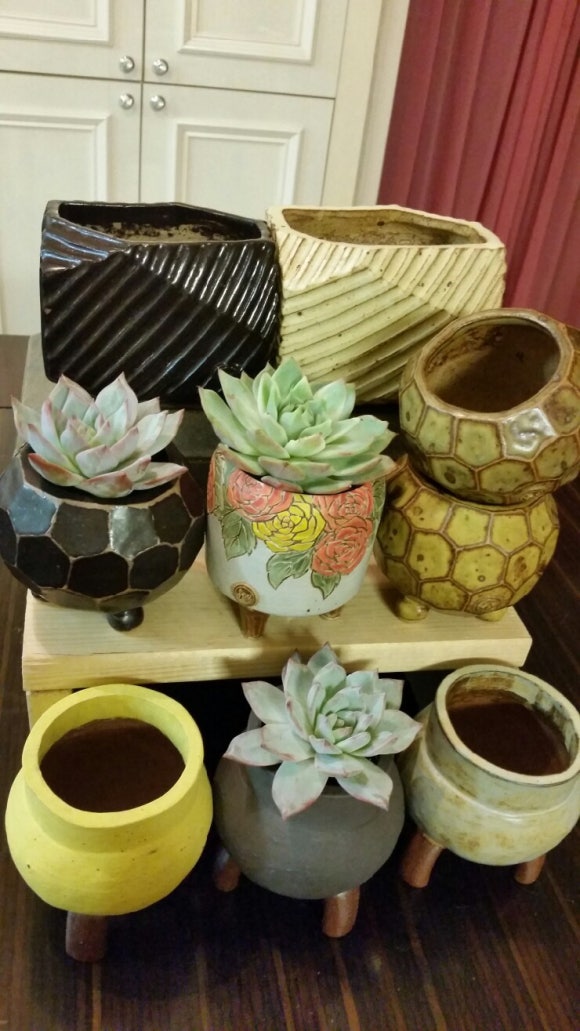 올리브온 이미지