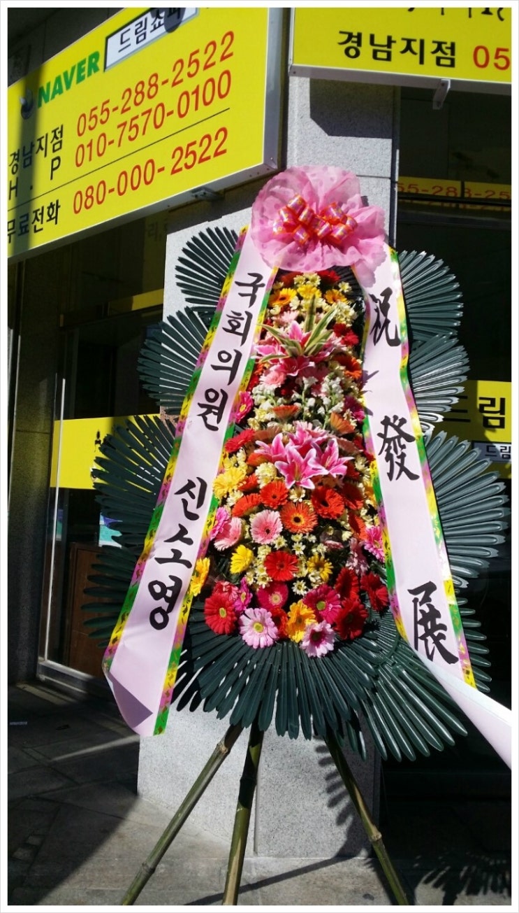 드림쇼파 이미지