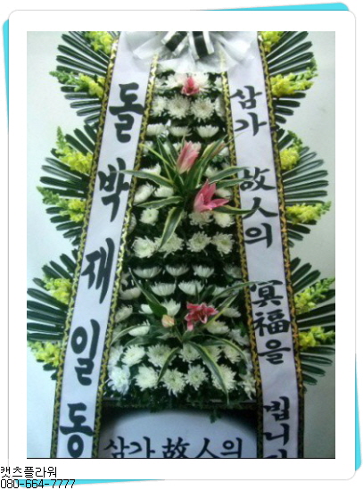 경상북도포항의료원 이미지
