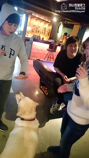 에이다트 이미지