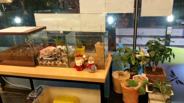 커피에빠진장풍이 이미지