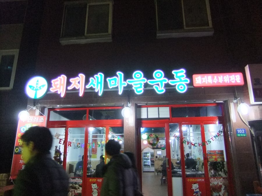 돼지새마을운동 이미지