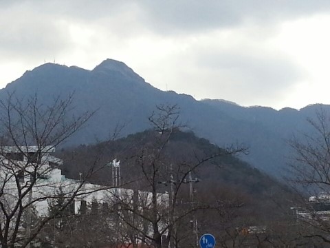 금오자판기 이미지