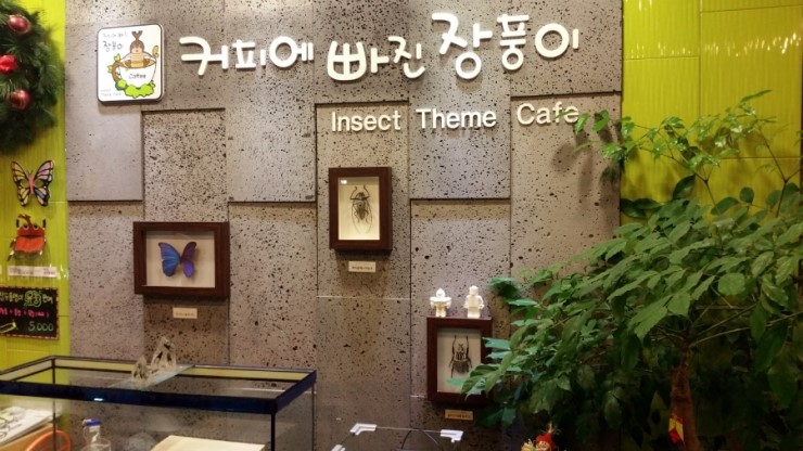 커피에빠진장풍이 이미지