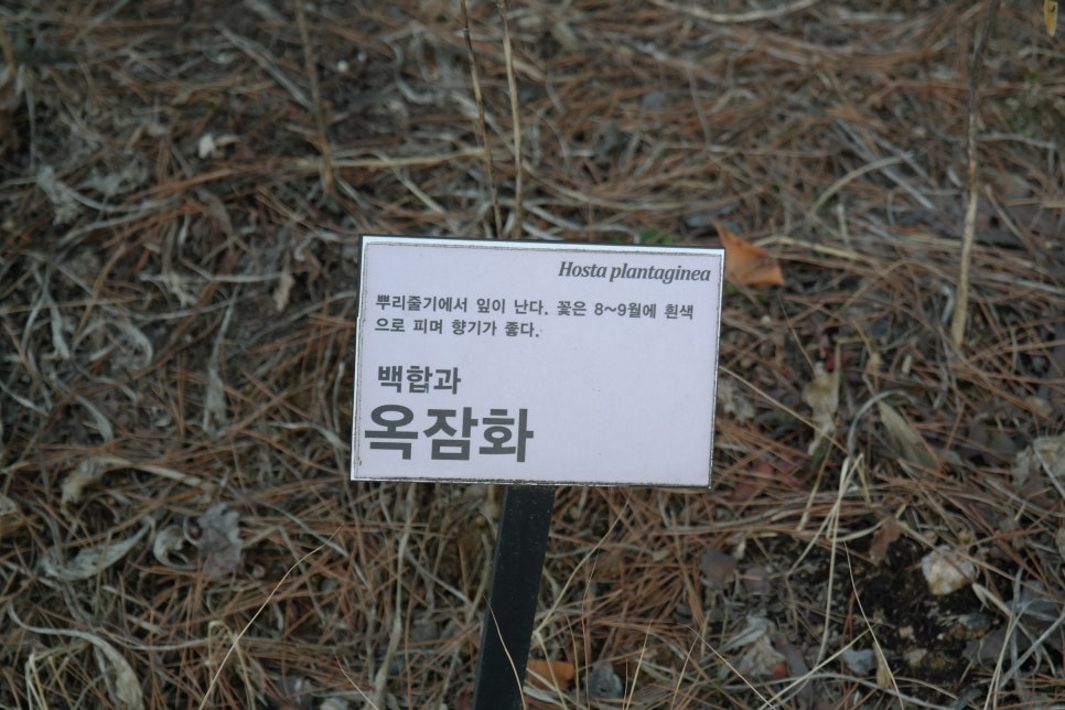 달커뮤니케이션(주) 이미지