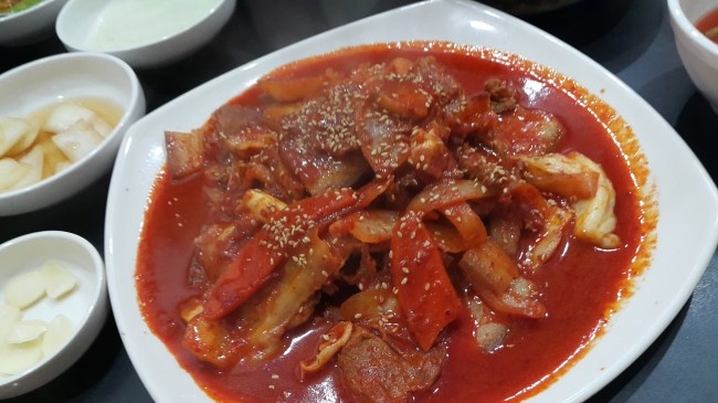 제주도야지 이미지