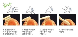 루미에르(Lumiere) 이미지