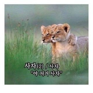 오렌지화장품 이미지