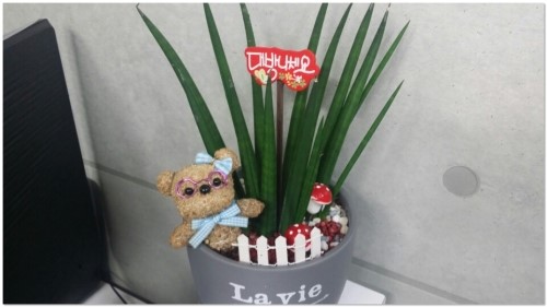 룸빠빠 이미지
