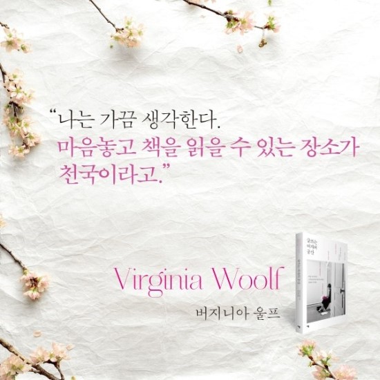 슐리 이미지