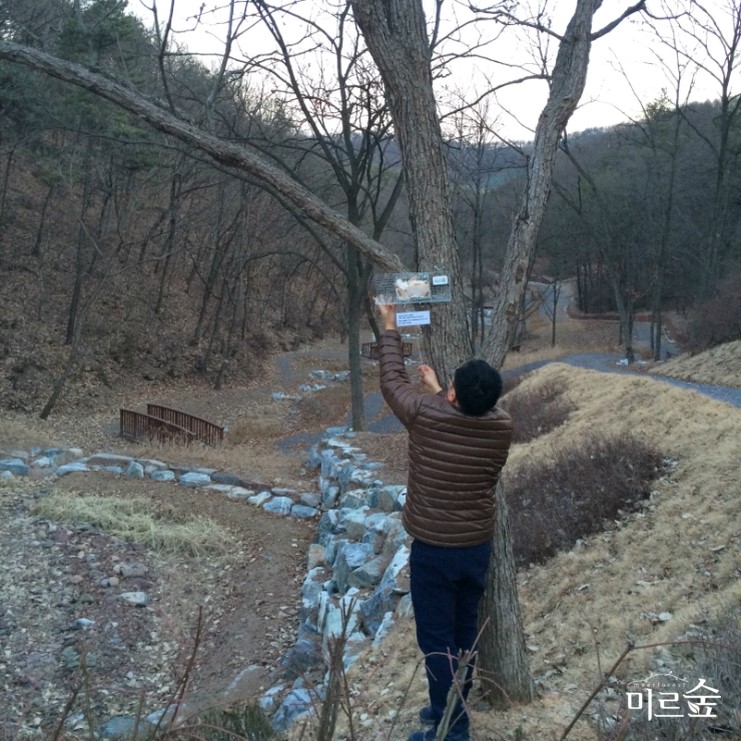 초평정육점 이미지