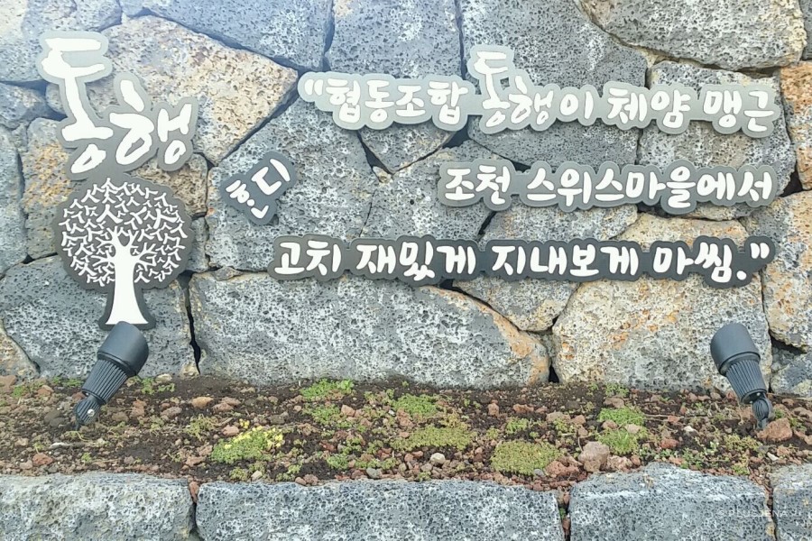 협동조합고치 이미지