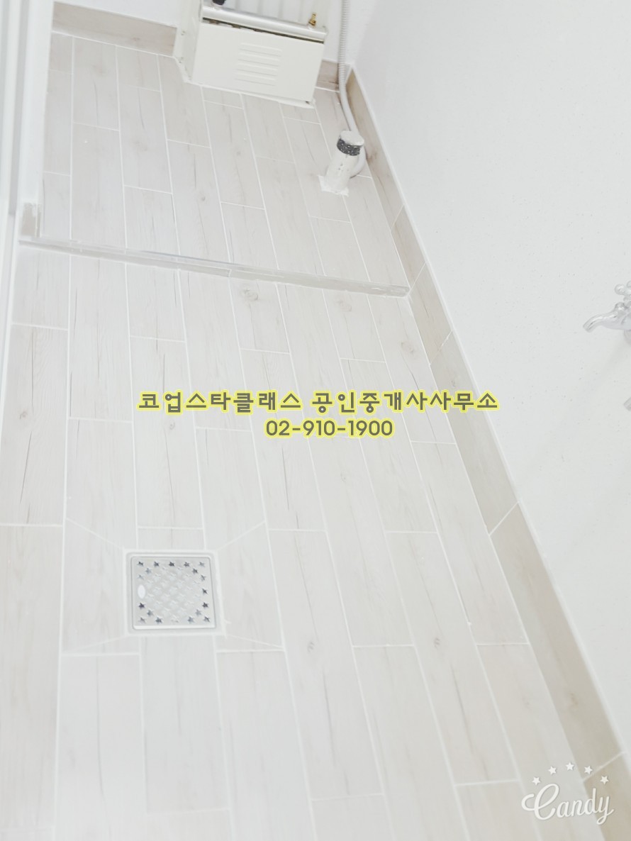 뜨라래 이미지