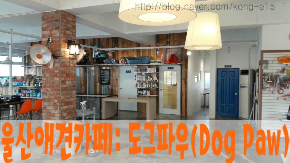 도그파우 이미지